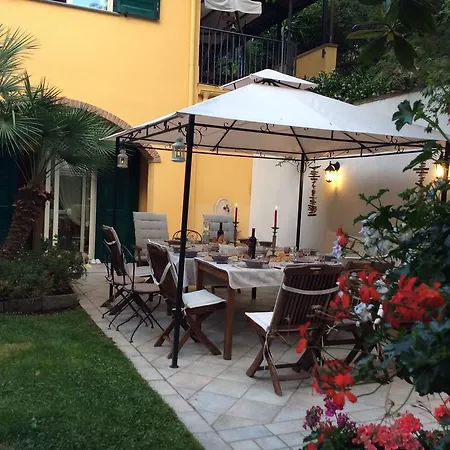 L'acacia * Pietra Ligure