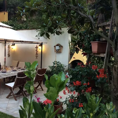 L'acacia Pietra Ligure