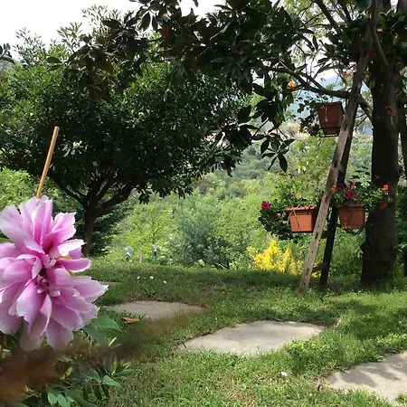 L'acacia Szálloda *