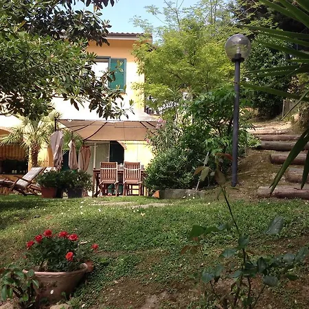 L'acacia